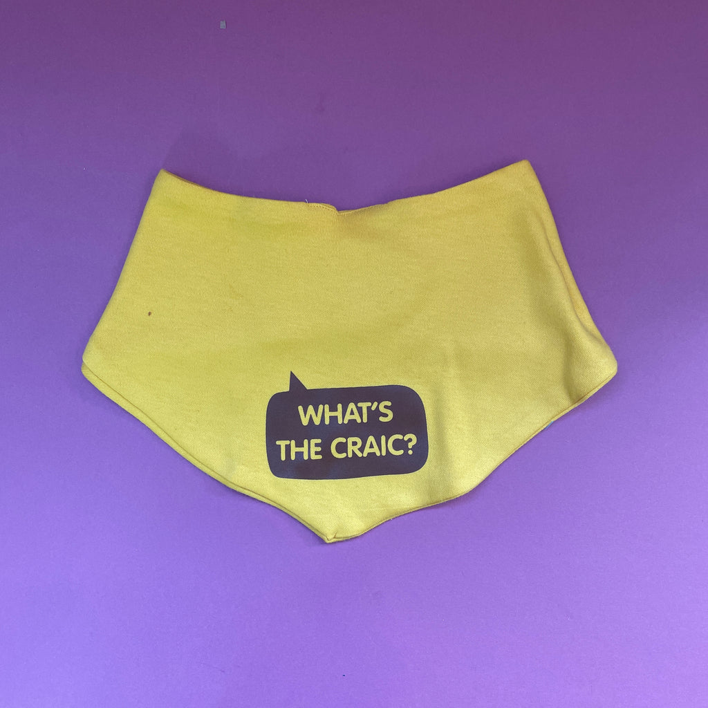 whats the craic yellow dribble bib