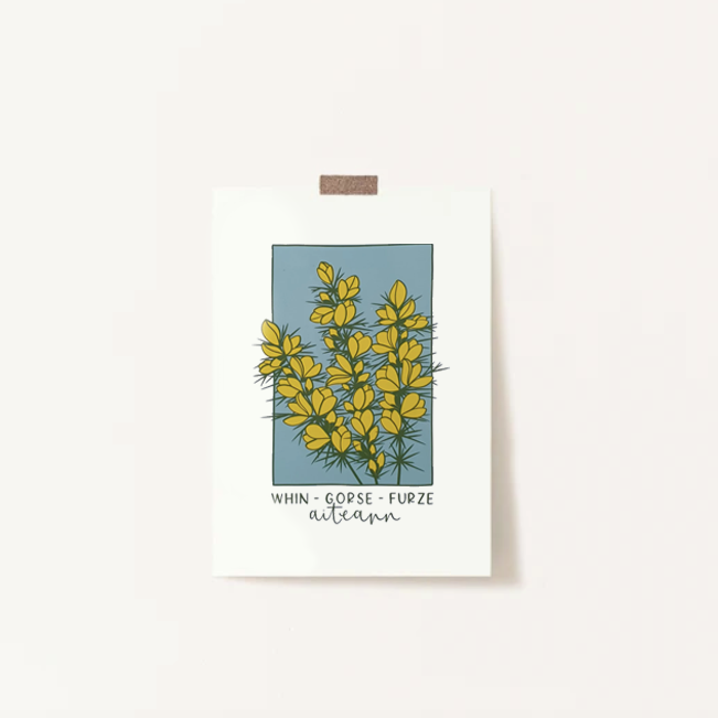 Aiteann Gorse A4 Print | Once Upon A Dandelion